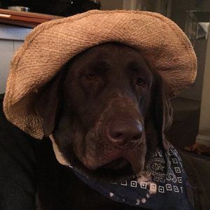 Meet your Posher, John